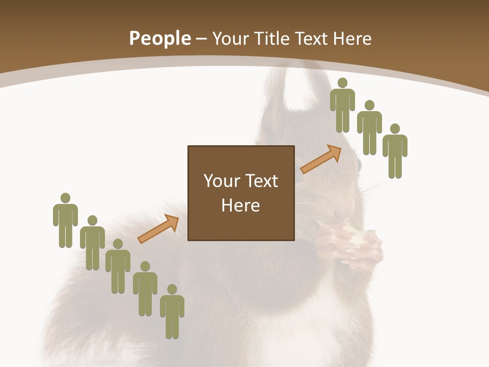 Isolated Brown Eurasian Red Squirrel PowerPoint Template