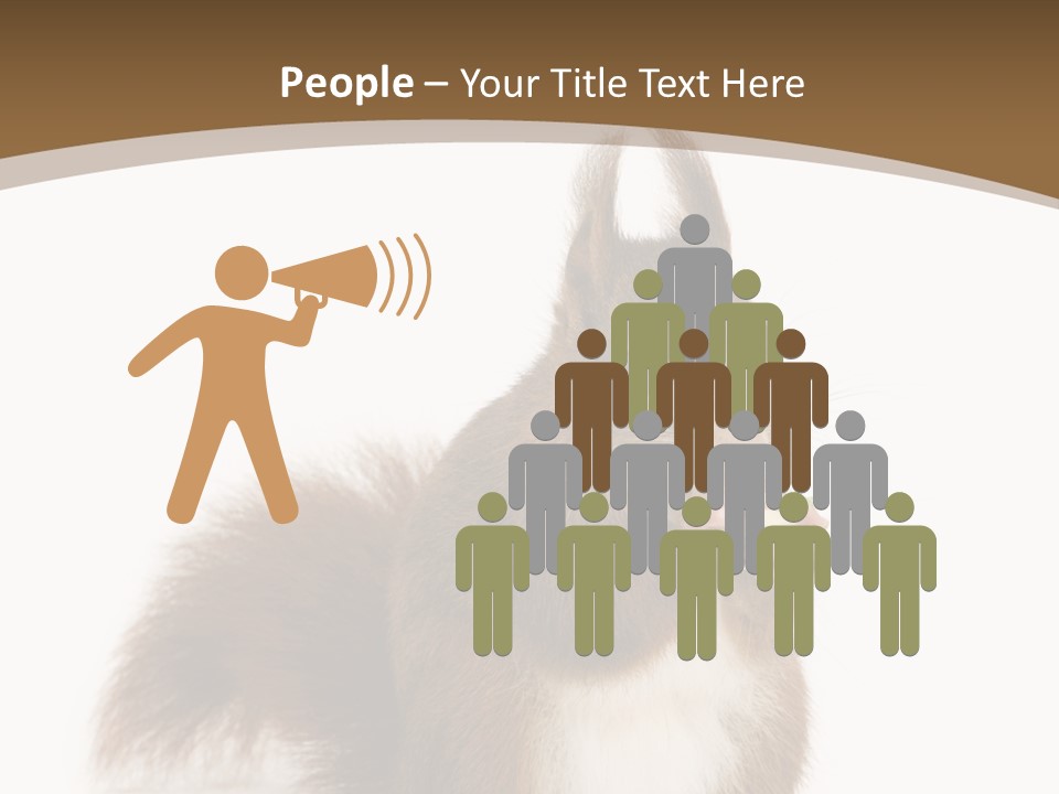 Isolated Brown Eurasian Red Squirrel PowerPoint Template