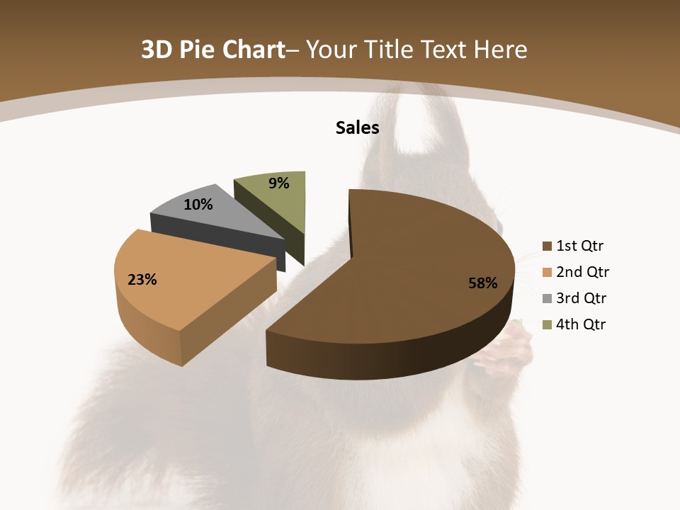 Isolated Brown Eurasian Red Squirrel PowerPoint Template