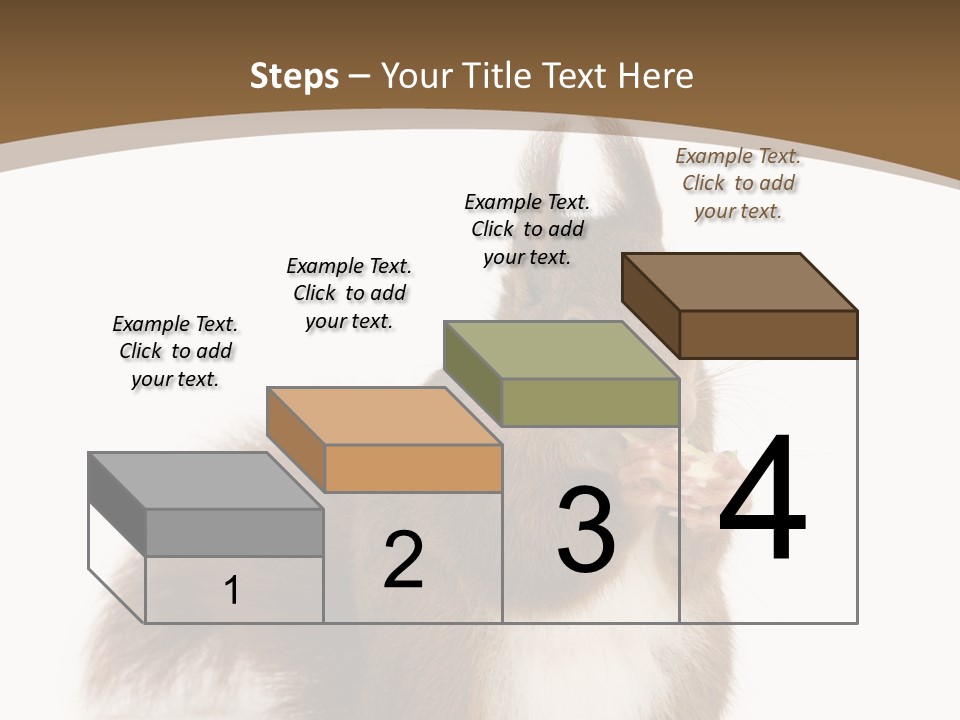 Isolated Brown Eurasian Red Squirrel PowerPoint Template
