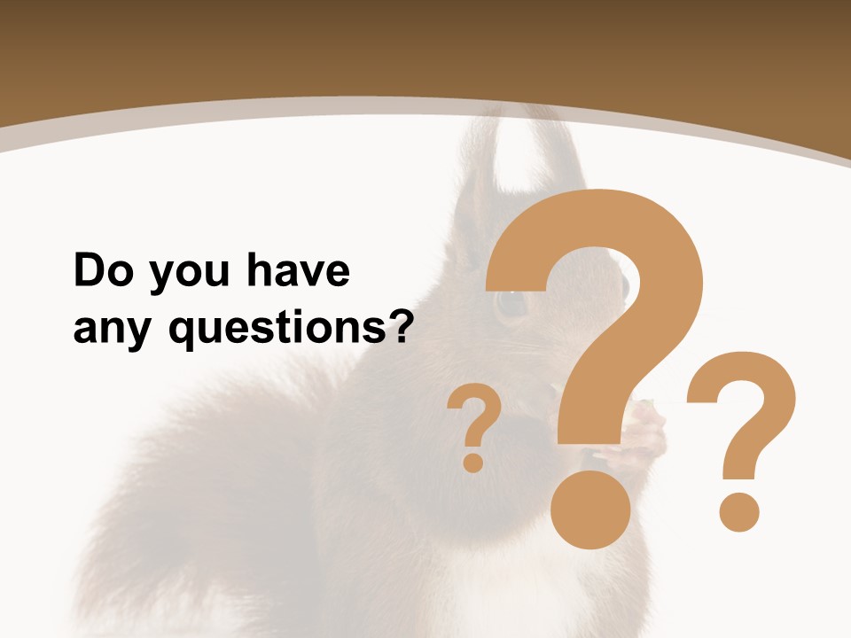 Isolated Brown Eurasian Red Squirrel PowerPoint Template