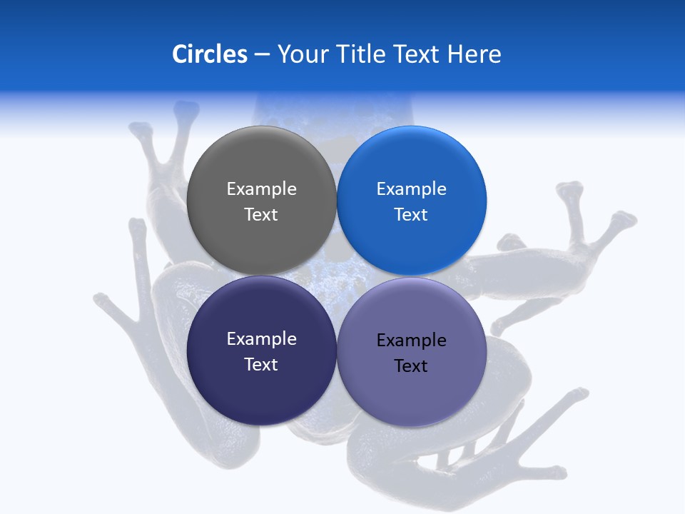 Blue Poison Arrow Frog Animal Dendrobates Azureus PowerPoint Template