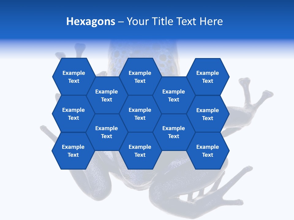 Blue Poison Arrow Frog Animal Dendrobates Azureus PowerPoint Template