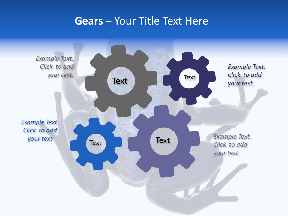 Blue Poison Arrow Frog Animal Dendrobates Azureus PowerPoint Template