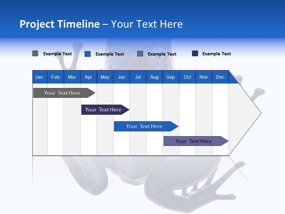 Blue Poison Arrow Frog Animal Dendrobates Azureus PowerPoint Template