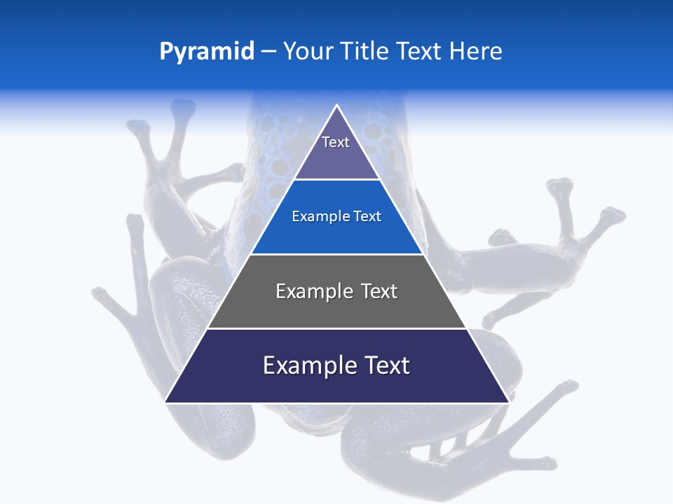 Blue Poison Arrow Frog Animal Dendrobates Azureus PowerPoint Template