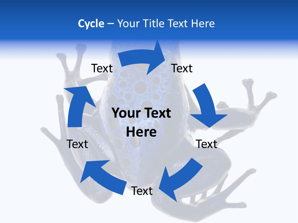 Blue Poison Arrow Frog Animal Dendrobates Azureus PowerPoint Template