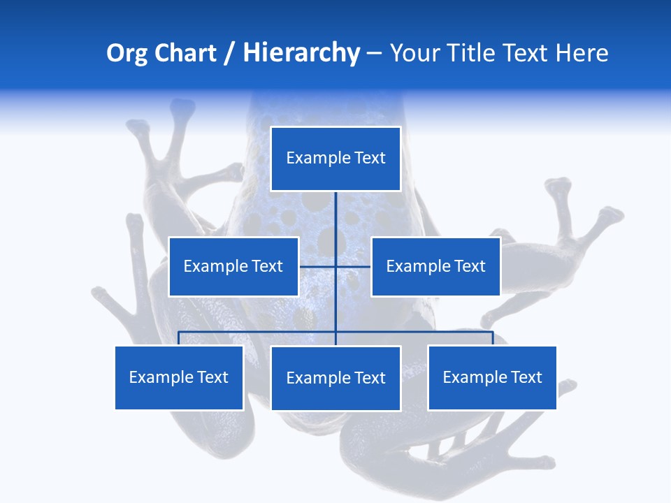 Blue Poison Arrow Frog Animal Dendrobates Azureus PowerPoint Template