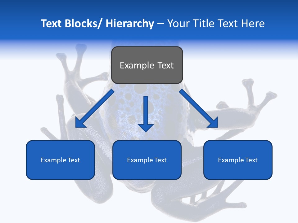 Blue Poison Arrow Frog Animal Dendrobates Azureus PowerPoint Template