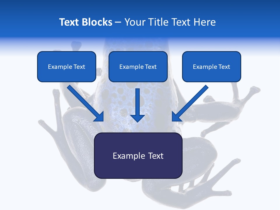Blue Poison Arrow Frog Animal Dendrobates Azureus PowerPoint Template