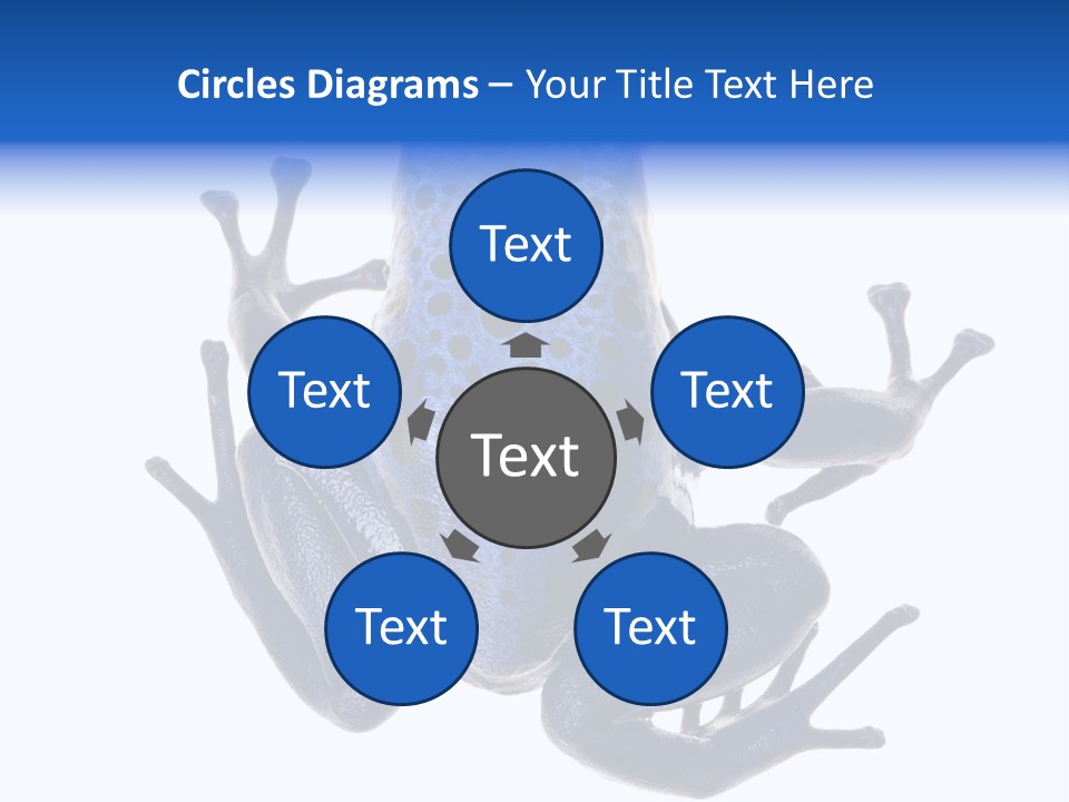 Blue Poison Arrow Frog Animal Dendrobates Azureus PowerPoint Template