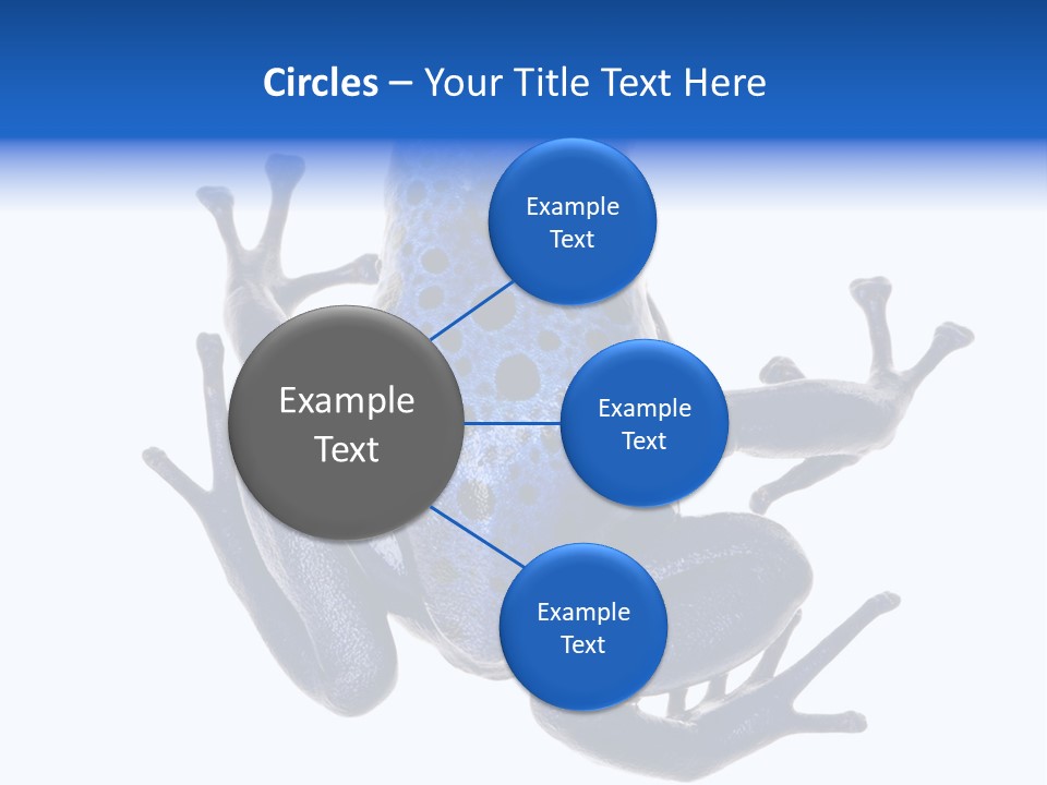 Blue Poison Arrow Frog Animal Dendrobates Azureus PowerPoint Template