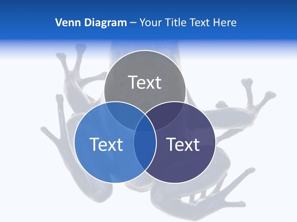 Blue Poison Arrow Frog Animal Dendrobates Azureus PowerPoint Template