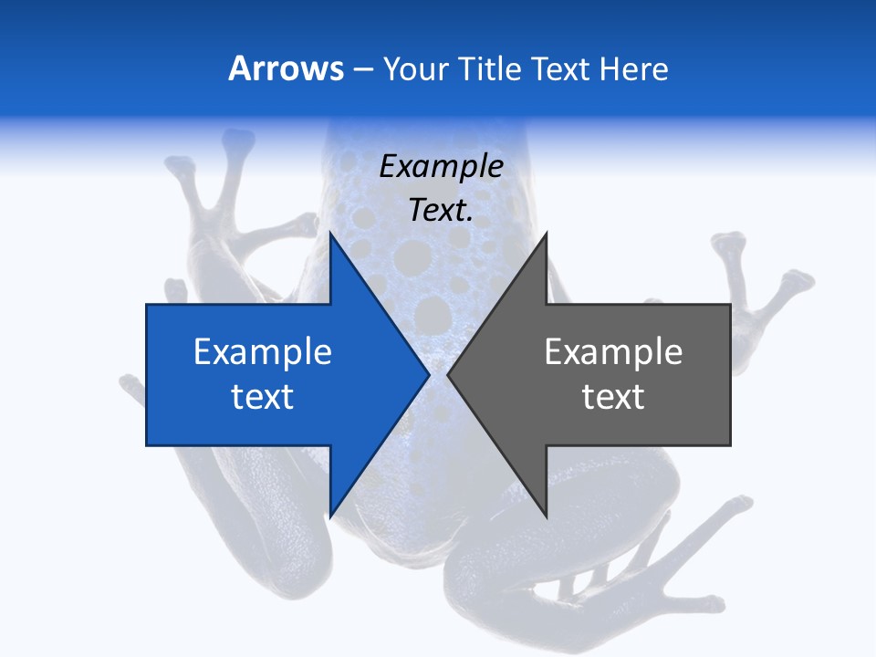Blue Poison Arrow Frog Animal Dendrobates Azureus PowerPoint Template