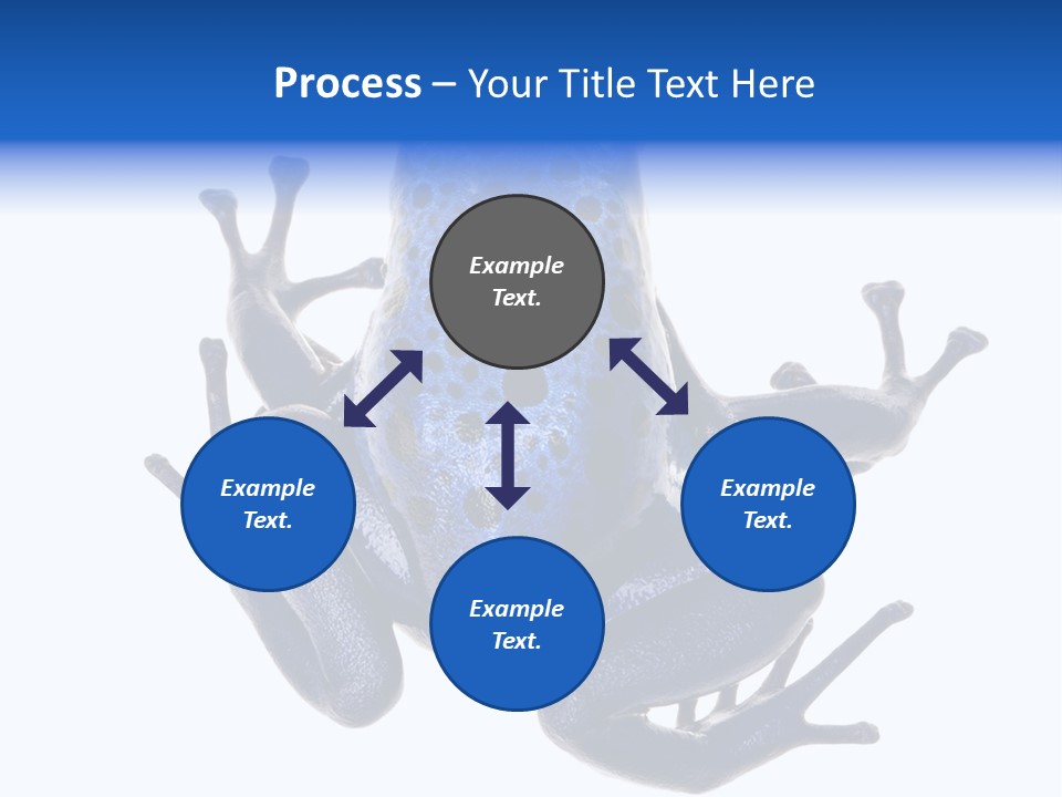 Blue Poison Arrow Frog Animal Dendrobates Azureus PowerPoint Template