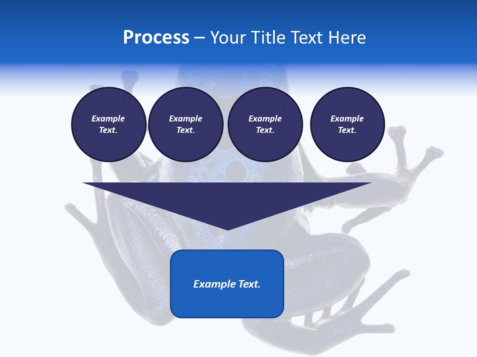 Blue Poison Arrow Frog Animal Dendrobates Azureus PowerPoint Template