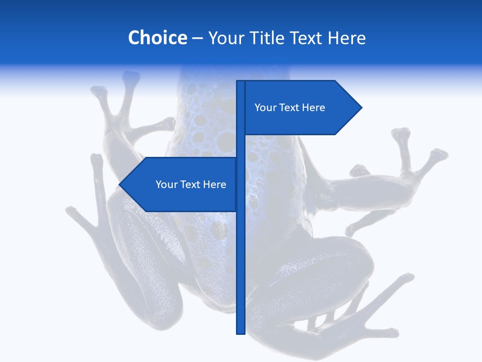 Blue Poison Arrow Frog Animal Dendrobates Azureus PowerPoint Template
