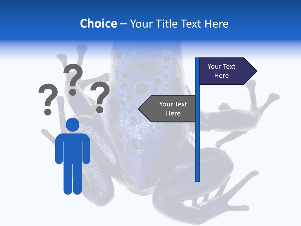 Blue Poison Arrow Frog Animal Dendrobates Azureus PowerPoint Template