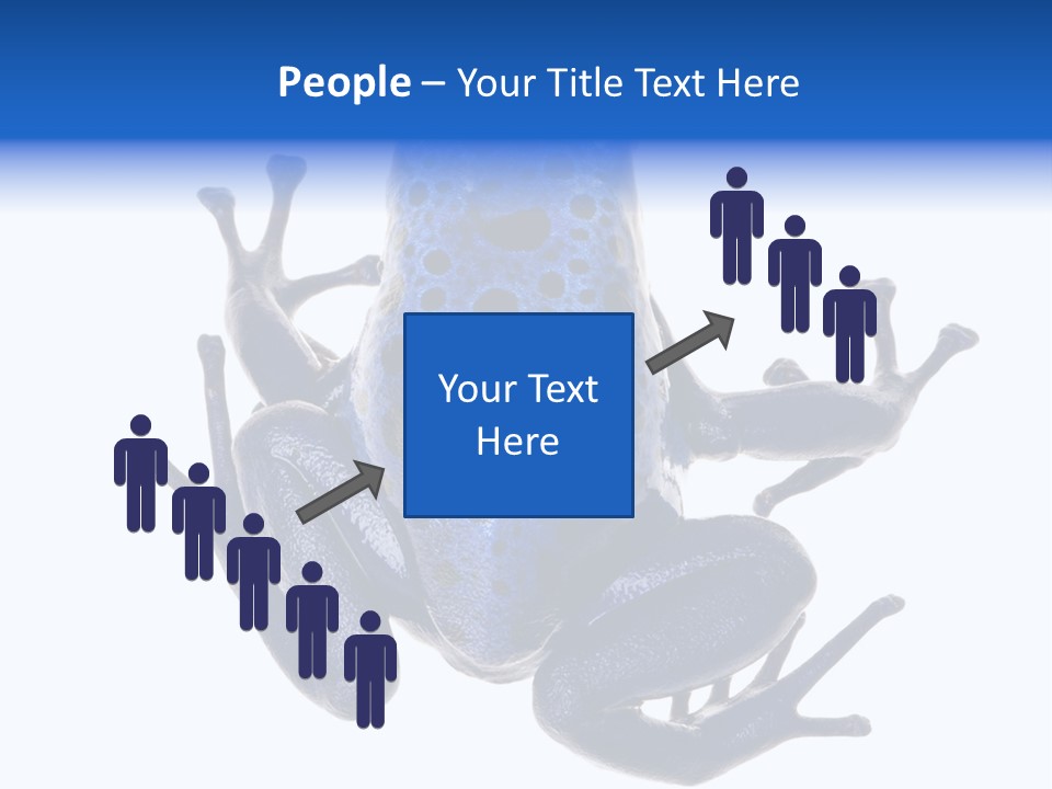 Blue Poison Arrow Frog Animal Dendrobates Azureus PowerPoint Template