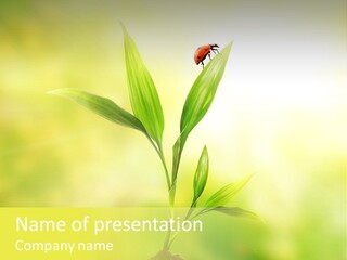 Nature Harmony Foliage PowerPoint Template