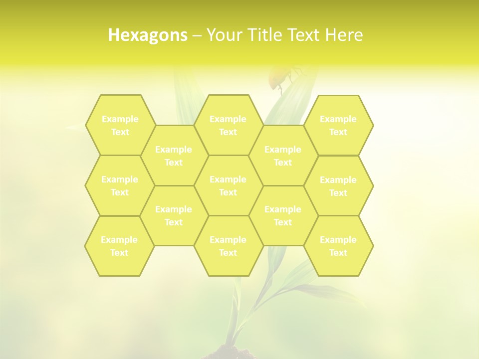 Nature Harmony Foliage PowerPoint Template