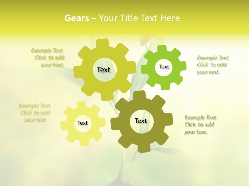 Nature Harmony Foliage PowerPoint Template