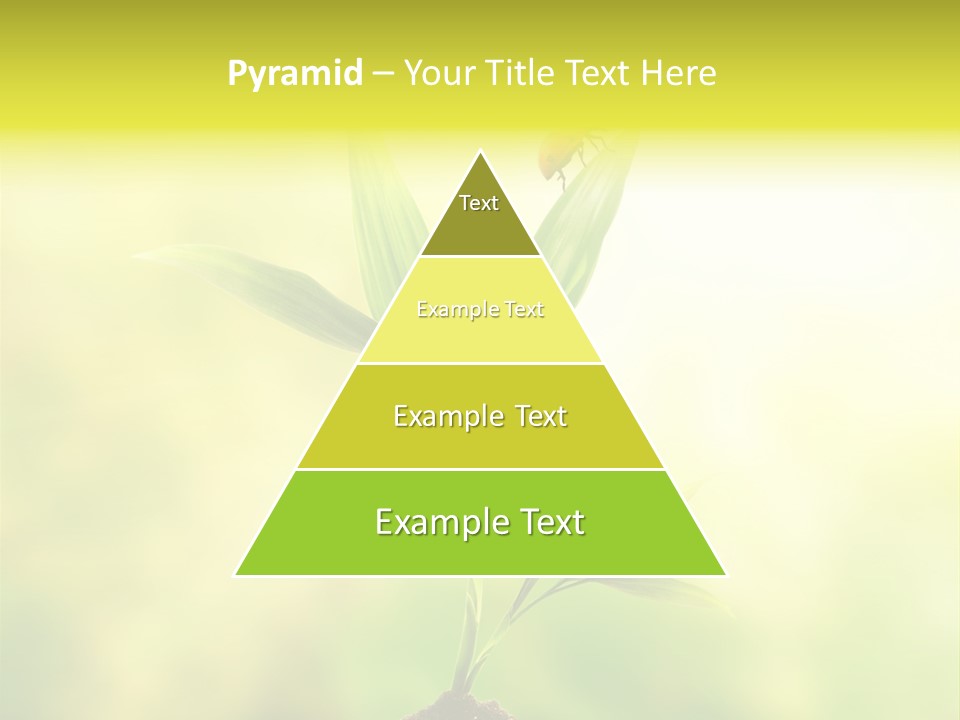 Nature Harmony Foliage PowerPoint Template