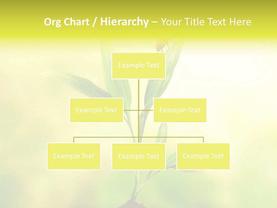 Nature Harmony Foliage PowerPoint Template