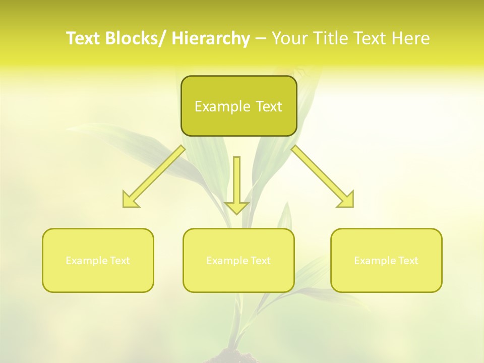 Nature Harmony Foliage PowerPoint Template