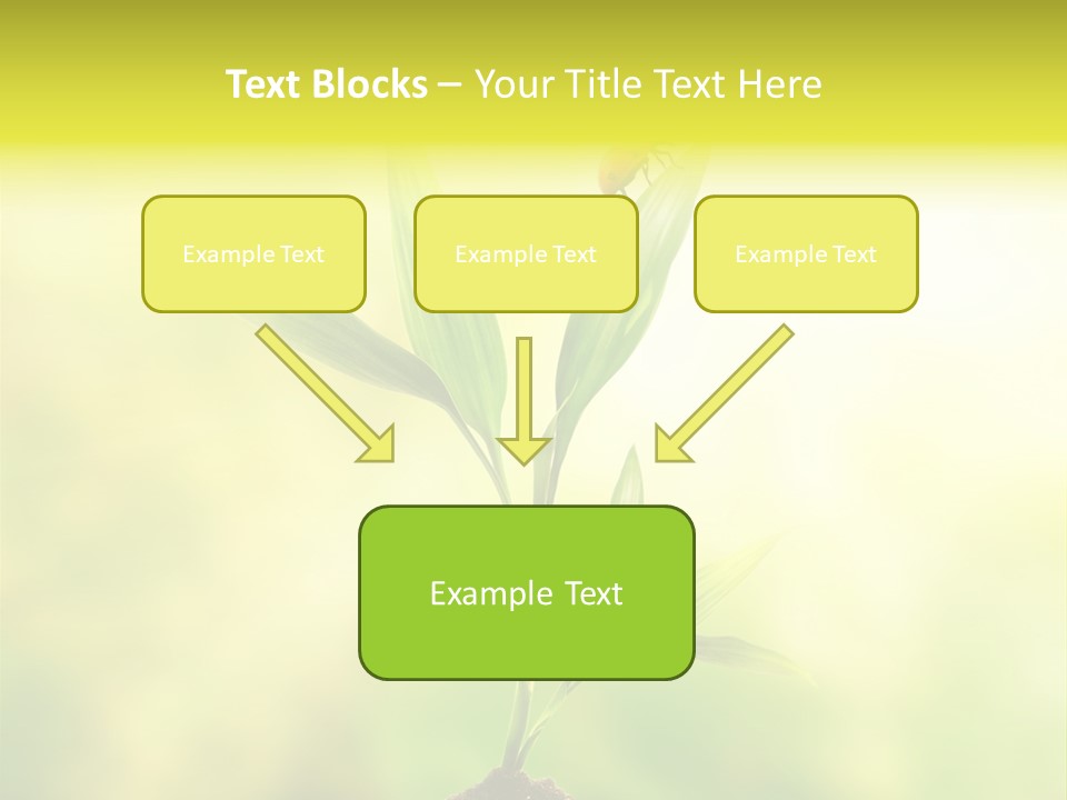 Nature Harmony Foliage PowerPoint Template