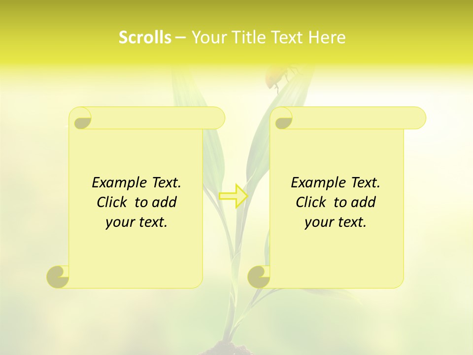 Nature Harmony Foliage PowerPoint Template