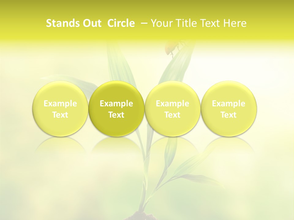 Nature Harmony Foliage PowerPoint Template