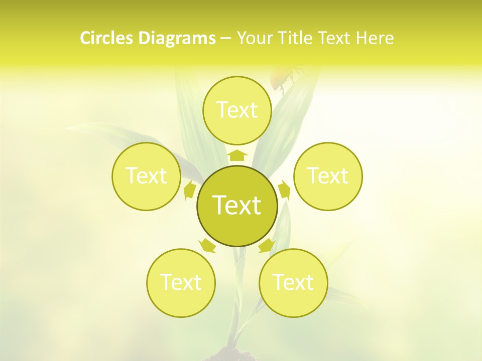 Nature Harmony Foliage PowerPoint Template