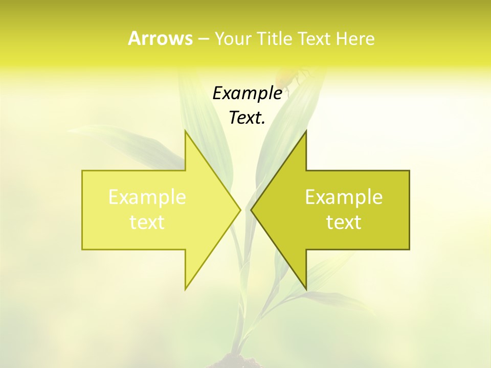 Nature Harmony Foliage PowerPoint Template