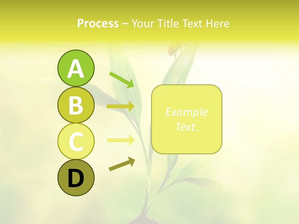 Nature Harmony Foliage PowerPoint Template