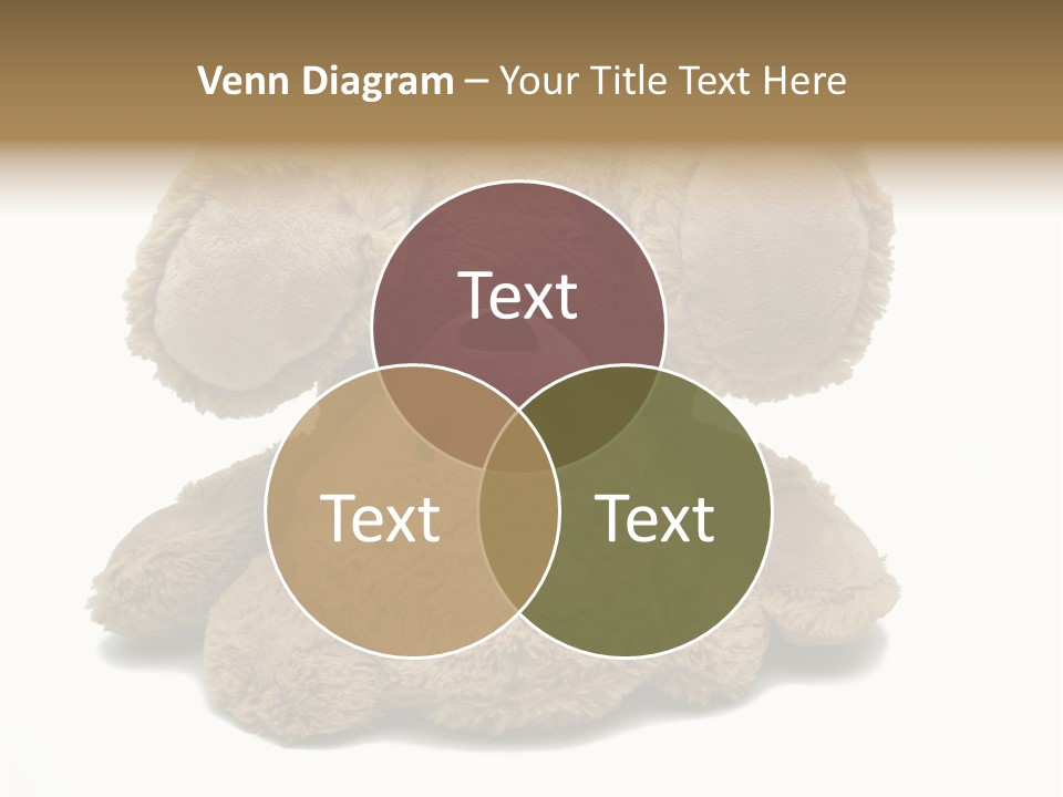 Plush Eye Teddy Bear PowerPoint Template