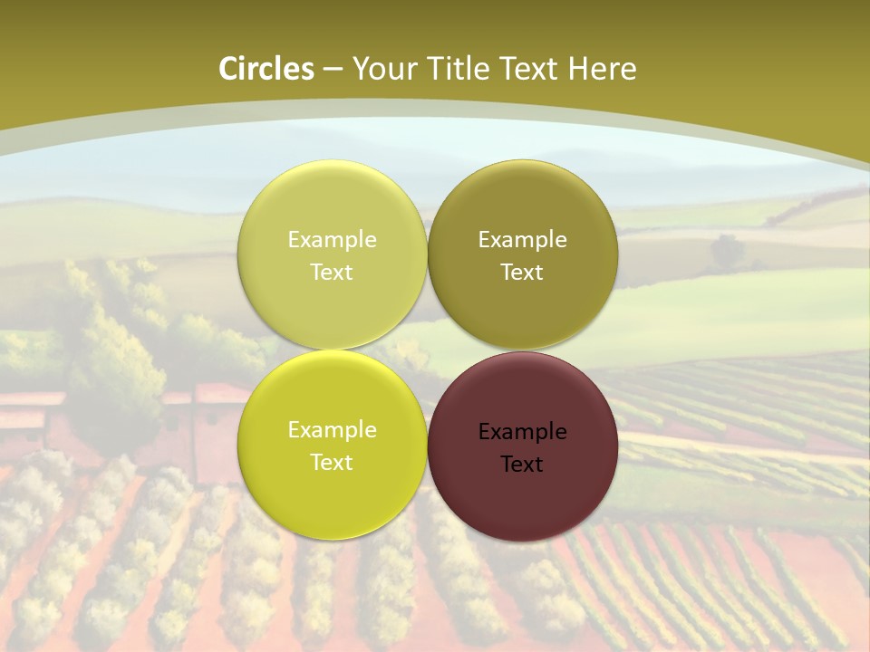 Lone Italy Cypress PowerPoint Template