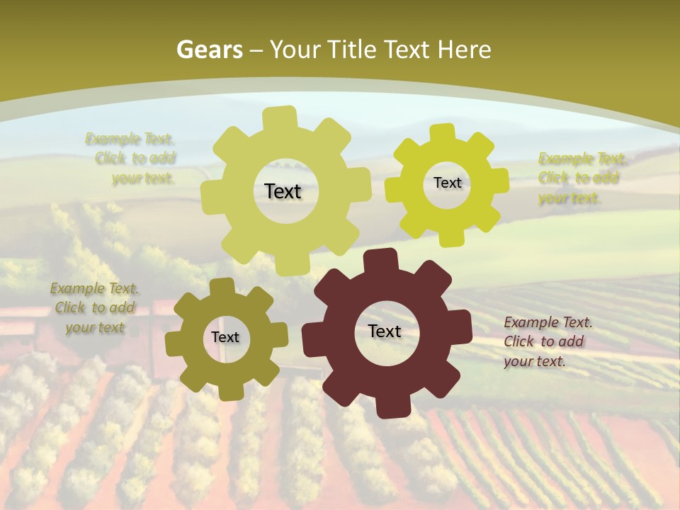 Lone Italy Cypress PowerPoint Template