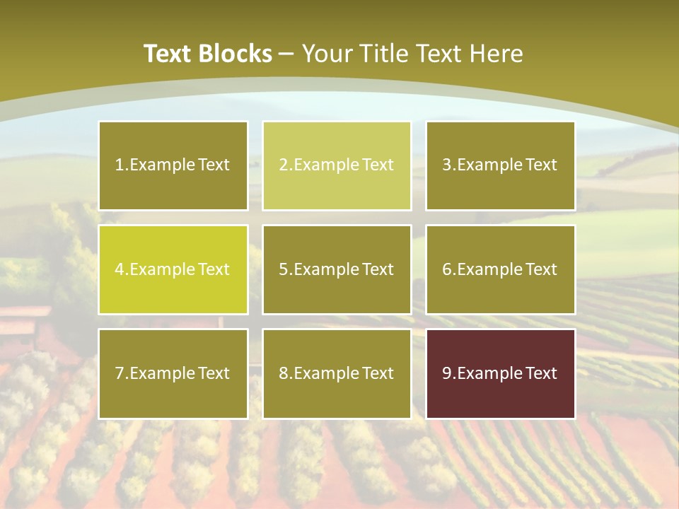 Lone Italy Cypress PowerPoint Template