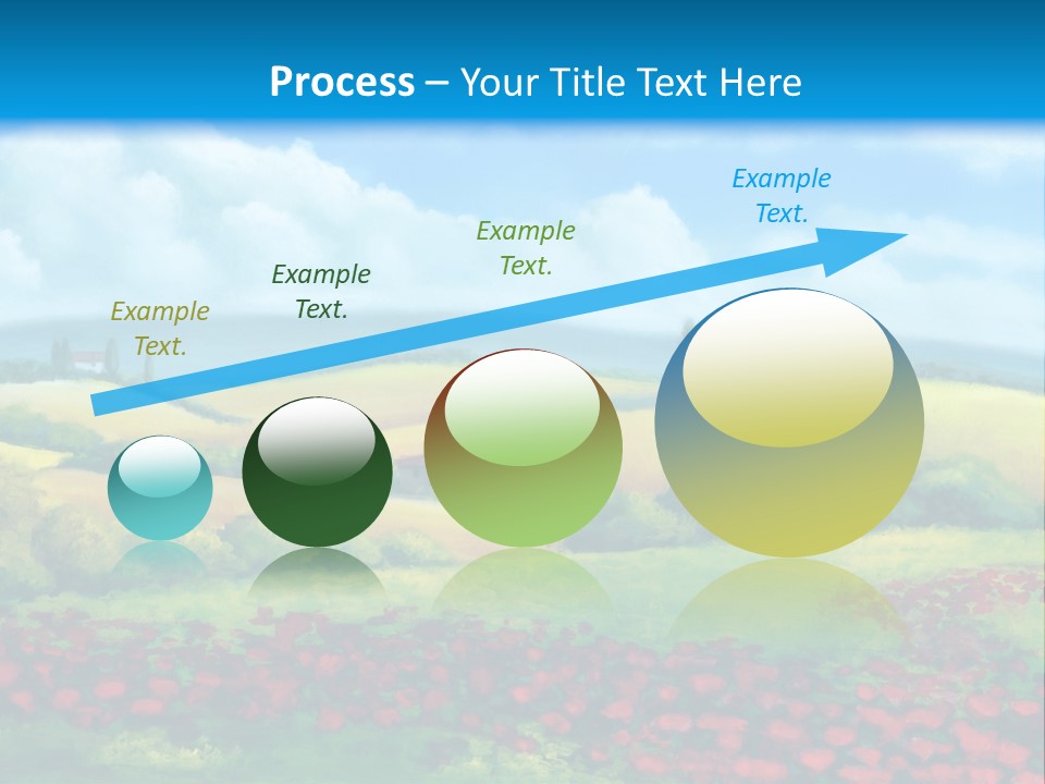 Sunny Field Cypress PowerPoint Template