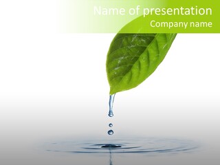 Green Ripple Fresh PowerPoint Template