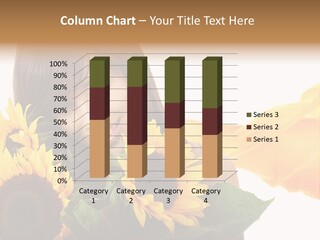 Sunflower Flower Love PowerPoint Template