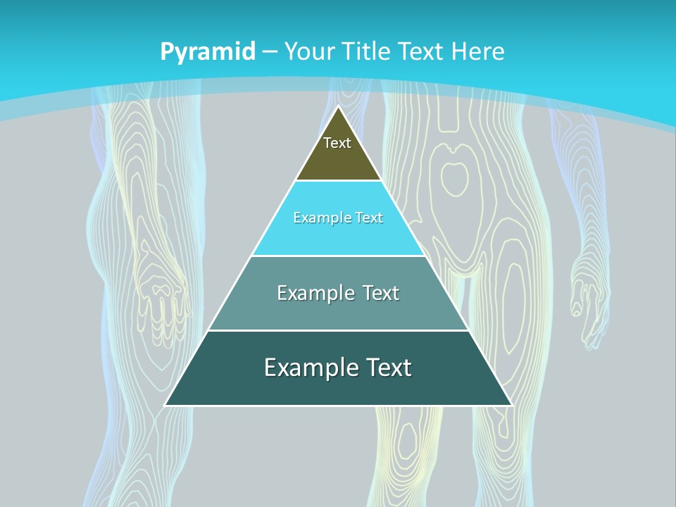 Medicine Anatomy Body PowerPoint Template