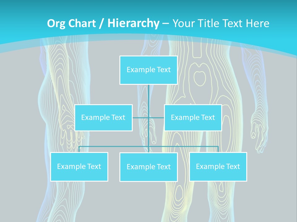 Medicine Anatomy Body PowerPoint Template