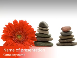 Zen Flower Isolated PowerPoint Template