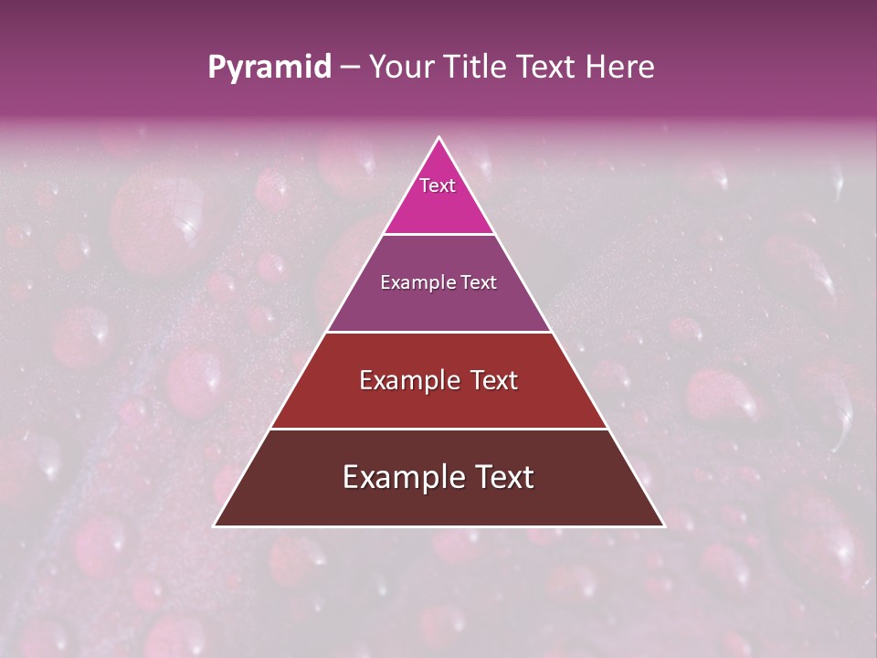 Bloom Colorful Life PowerPoint Template