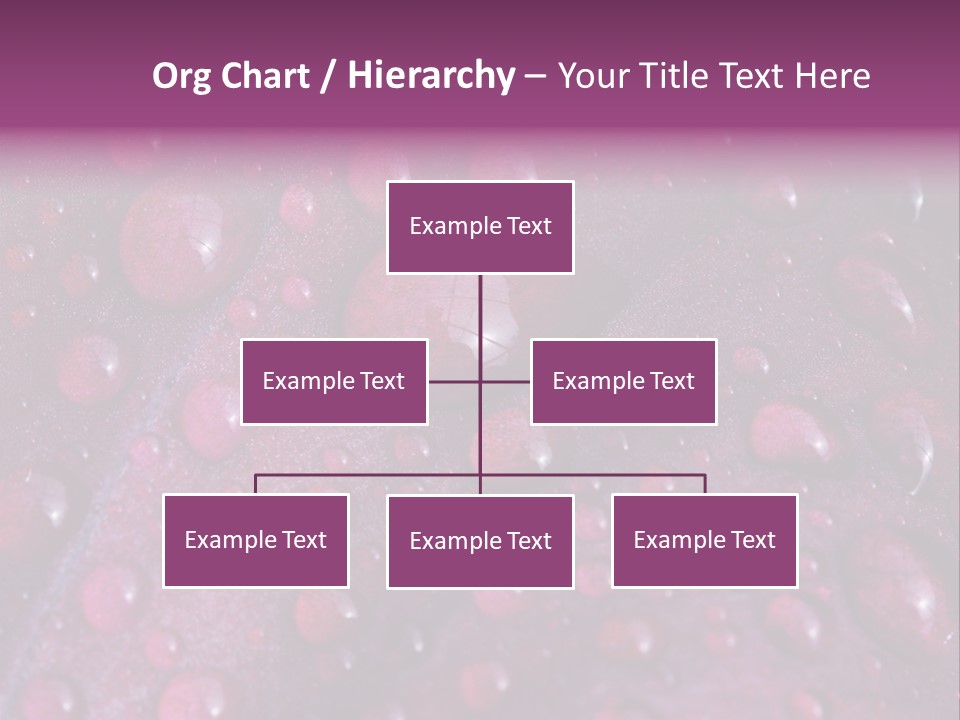 Bloom Colorful Life PowerPoint Template