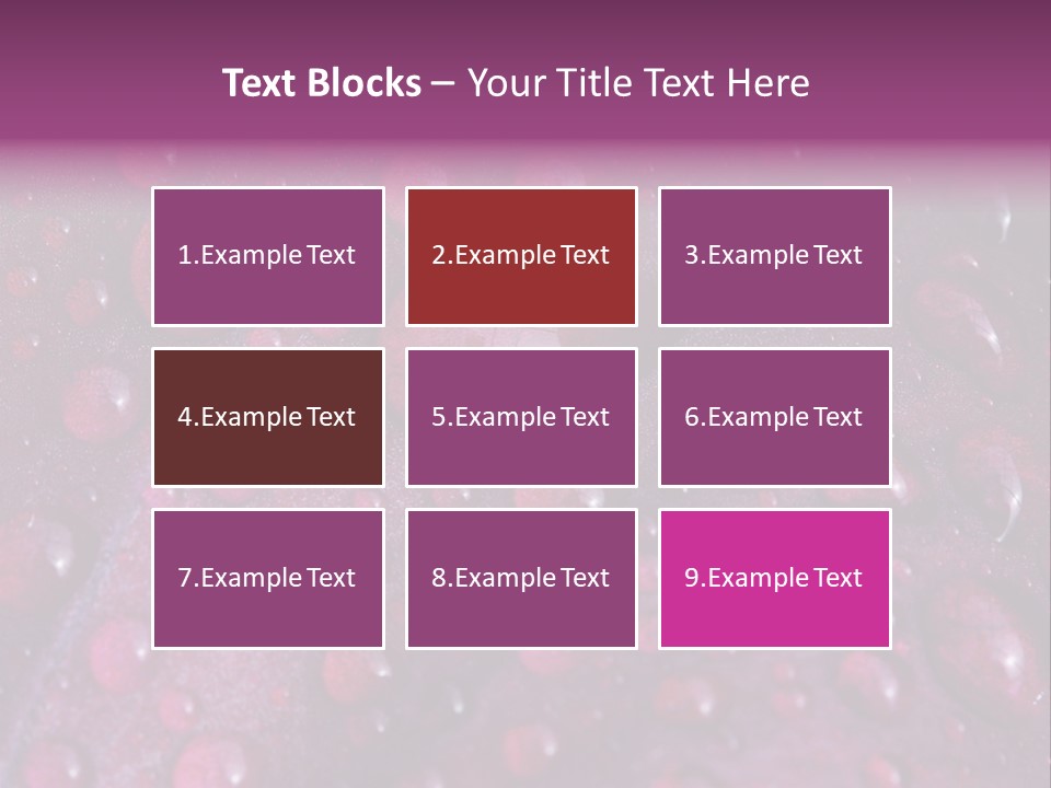 Bloom Colorful Life PowerPoint Template