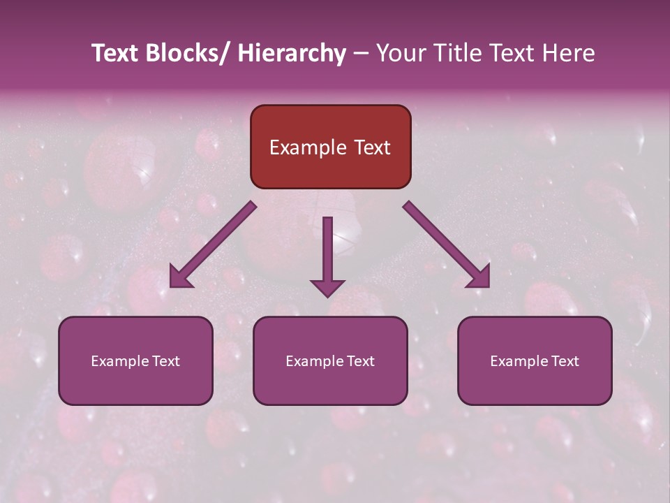 Bloom Colorful Life PowerPoint Template