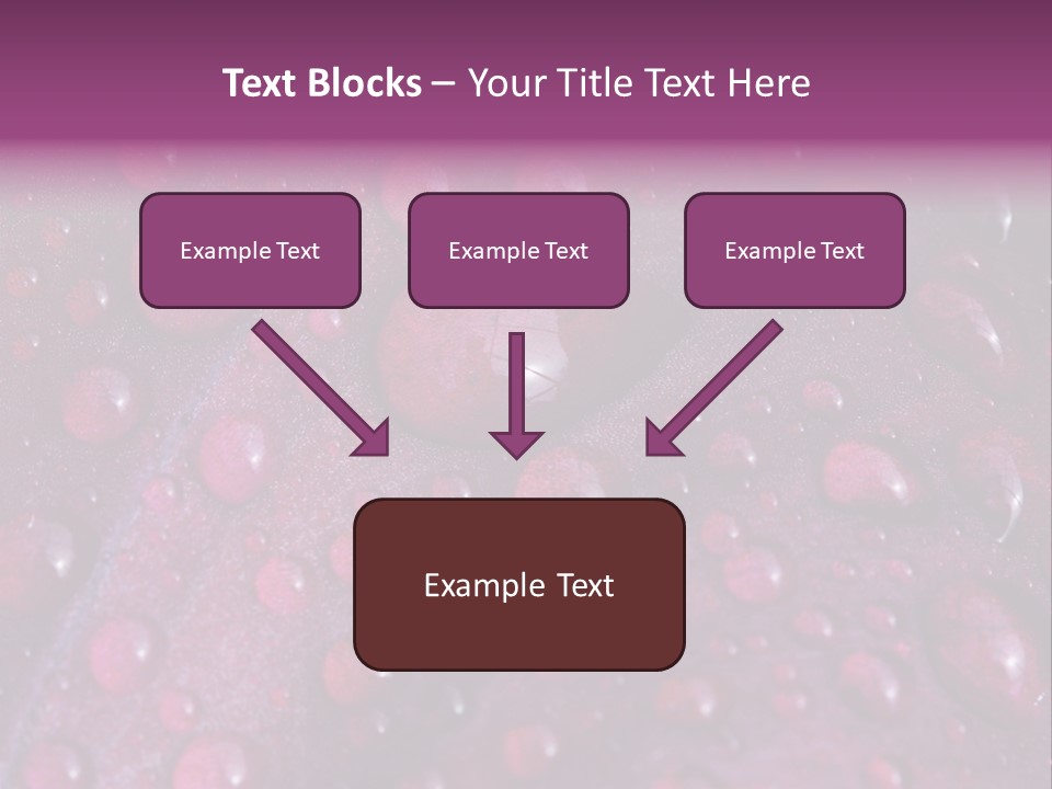 Bloom Colorful Life PowerPoint Template